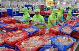 EU hy vọng EVFTA mở ra cơ hội mới hợp tác với Việt Nam